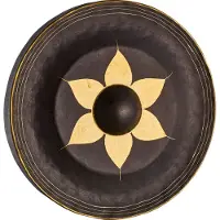 Sonic Energy THG22 - 22" Gong Thaï