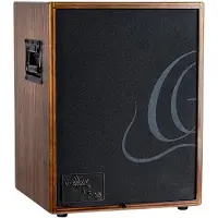 Ortega CONE-wnd 100W 2 Canaux Rev/Chorus