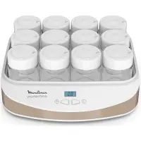 Moulinex Yaourtière Yogurteo Family (yg233a10)