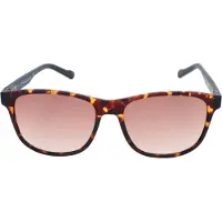 Adidas AOR031 CM1397 092.009 HAVANA 54/16/145 Lunettes de soleil pour hommes