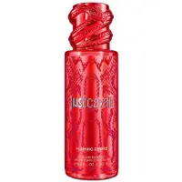 Roberto Cavalli Flaming Desire Hair & Brume pour le Corps 250 ml