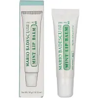 Mario Badescu Baume à lèvres Munt 10 grammes
