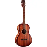 Cort AP550 Acajou Natural Open Pores