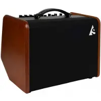 Godin Acoustic Solutions ASG-8 Bois 120W - STOCK B