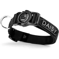 My Family Collier De Chien Memopet Id Personalizable