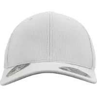 Flexfit Casquette '110 Cool & Dry Mini' gris clair