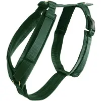 Kentucky Harnais pour chien Dogwear Active Velvet Dark Green XL (48-70cm)