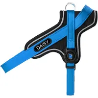 My Family Memopet Id Personalizable Y Dog Harness Bleu 40-50 cm