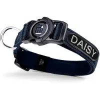 My Family Collier De Chien Memopet Id Personalizable