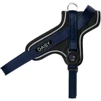 My Family Harnais Pour Chien Memopet Id Personalizable Y