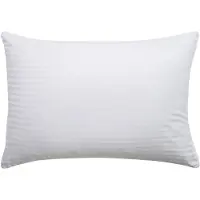 Toison D'or - Oreiller - Epure - Confort Médium - 50x75cm - Blanc