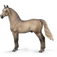 Collecta Figūrėlė - Morgano eržilas