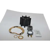 Johnson Pump F7b-3000/5000/9 Service Kit Doré