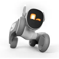 Doona Robot Argenté