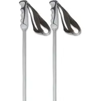 Kästle Mogul Ca Poles Argenté 95 cm