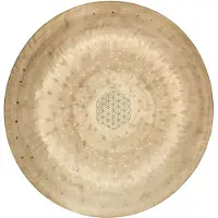 Meinl Sonic Energy 12" Wind Gong Flower of Life