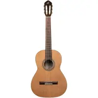 Ortega Traditional Series R18S guitare classique avec housse