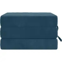 vidaXL Canapé-lit pliant 90 x 67 x 45 cm, bleu
