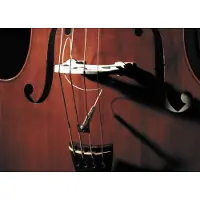 Fishman Full Cirle Format 1/4-20