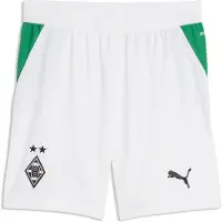 Puma Pantalon de sport 'Borussia Mönchengladbach 26/27' vert / noir / blanc