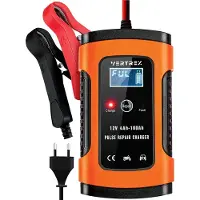 VERTREX Chargeur de batterie - Chargeur de secours - Convient à la moto, à l'auto et au scooter - 12V 6A