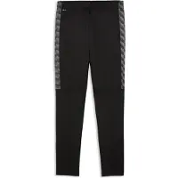 Puma Pantalon d'entraînement TeamLiga26