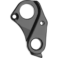 VAR Dh-69235 Giant Derailleur Hanger Argenté