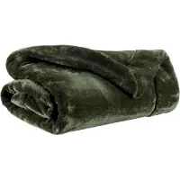 Vivaraise Couverture Tender vert fougère - 150 x 200 cm