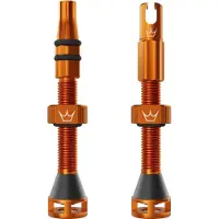 Peaty's Pneu de vélo : accessoires