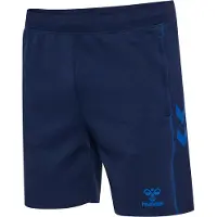 Hummel Pantalon de sport 'Move 2.0' bleu / marine