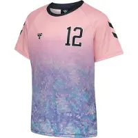Hummel T-Shirt fonctionnel violet / rose