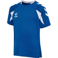 Hummel T-Shirt fonctionnel bleu / blanc