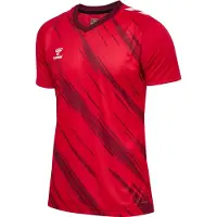 Hummel T-Shirt fonctionnel 'Match Triumph' rouge / lie de vin / blanc