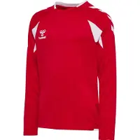 Hummel T-Shirt fonctionnel rouge / blanc