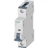 Siemens Disjoncteur 5SY6 - 5SY61066