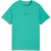 Puma T-shirt enfant ESS Small No. 1 Logo Centered Tee garcons - Vert - 15 / 16 ans