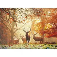 Heye Puzzle puzzle de 1000 pièces Cerfs