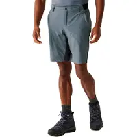 Regatta Short Eldes