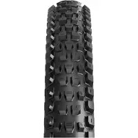 Maxxis Dissector G2 Exo Dual 60 Tpi Tubeless 29'' X 2.40 Pneu VTT Argent 29'' x 2.40 Argent 29'' x 2.40