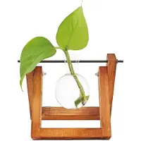Winkee Hydro Vase Fleur (2x)