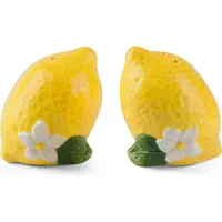 Excelsa set sel et poivre Amalfi céramique 5,5x7,5x4 cm jaune