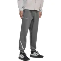 Adidas Pantalon de sport 'Mercedes-AMG Petronas F1 Team' gris / gris clair