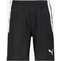 Puma Pantalon de sport 'TeamLiga' gris clair / noir / blanc