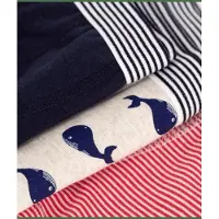 Petit Bateau Boxers LOT BOXER X3 garcons - Multicolore - 12 ans