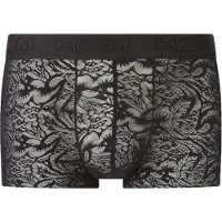 Hom Boxer court