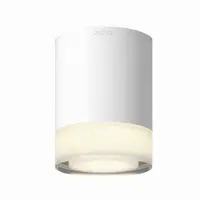 Astro Ottawa Lampe de Plafond de Salle de Bain Matt White