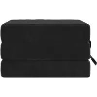 vidaXL Canapé-lit pliant 75 x 63 x 45 cm Noir