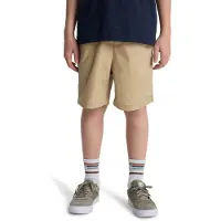 Quiksilver Short Taxer