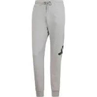 Adidas Pantalon de sport 'ESSENTIALS BIG LOGO FRENCH TERRY' anthracite / gris clair