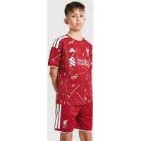 Adidas Pantalon de sport 'FC Liverpool 26/27' rouge / blanc